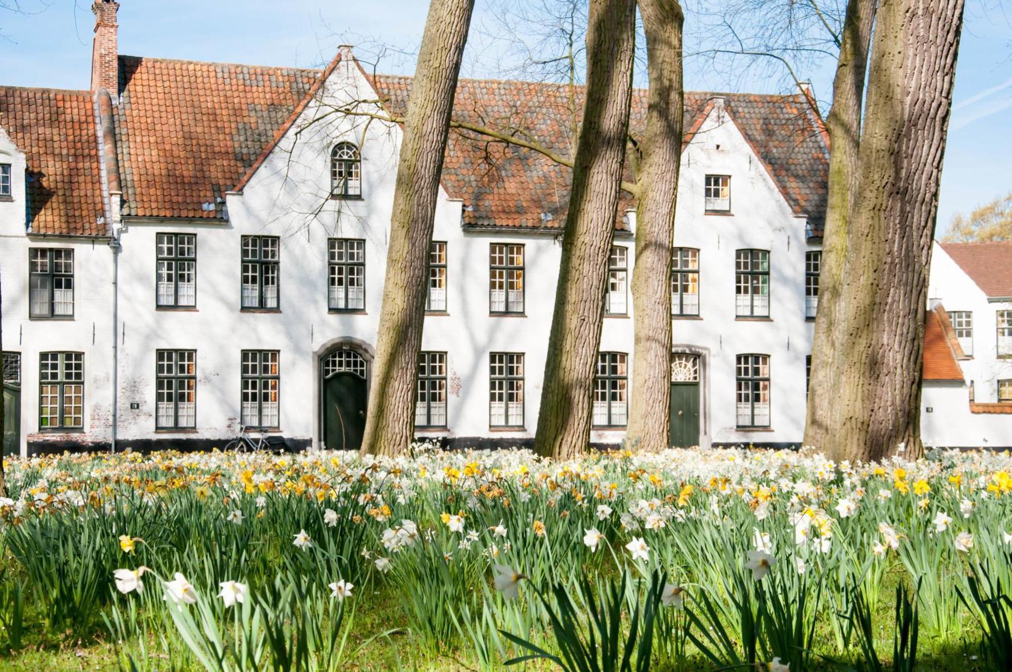 Gillis Eight By Romy&Travis Hotel Brugge Eksteriør billede